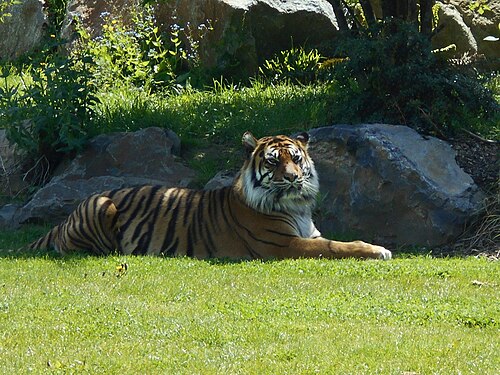Zoo de Champrépus